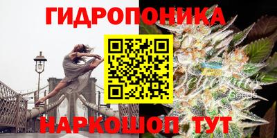 спайс Будённовск