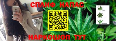 стафф Бузулук