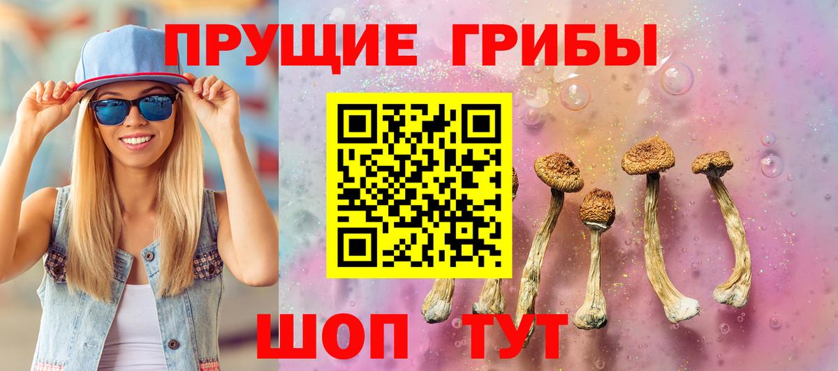 Псилоцибиновые грибы прущие грибы Канск