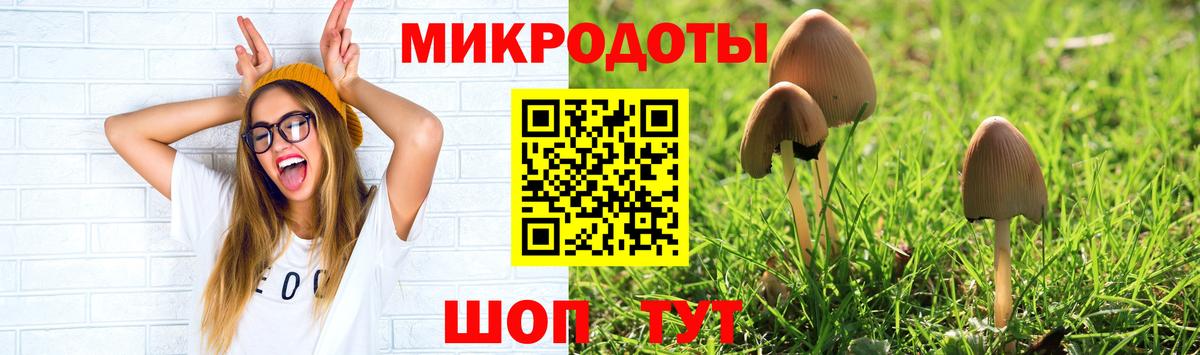 Псилоцибиновые грибы прущие грибы  Галлюциногенные грибы мицелий  Вход с VPN  Канск 